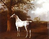 White Horse in Pasture by Jacques-Laurent Agasse